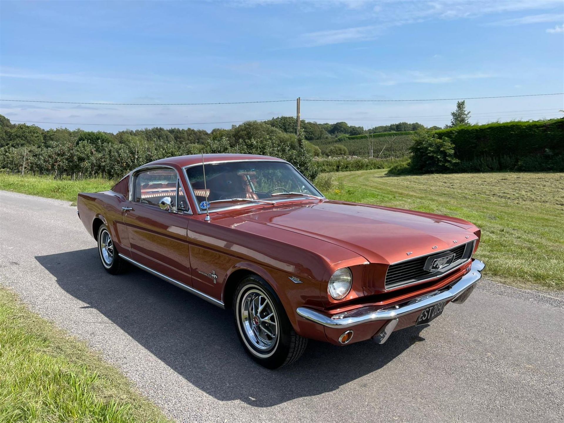 1966 Ford Mustang 289 Fastback