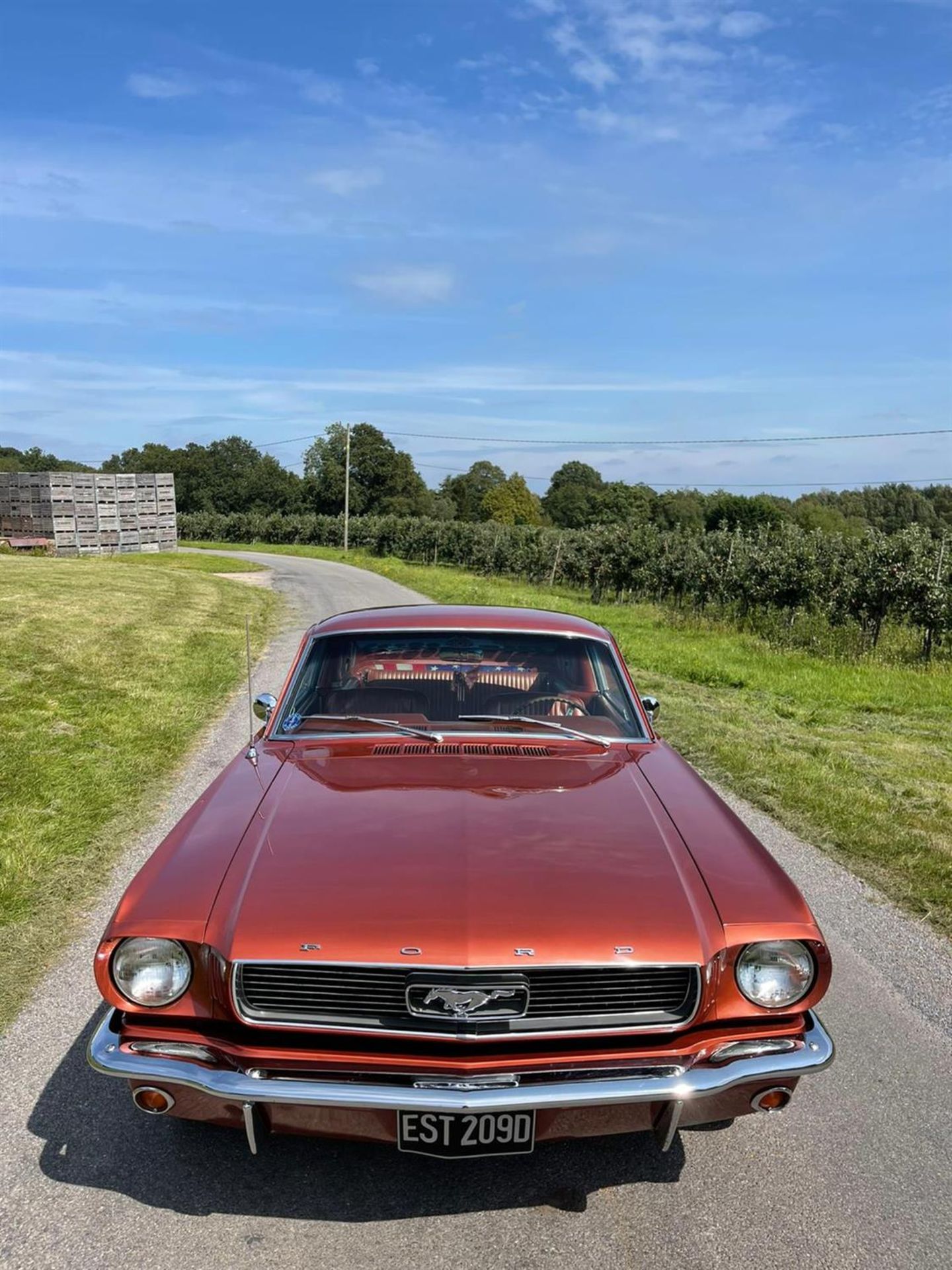 1966 Ford Mustang 289 Fastback - Image 2 of 4