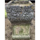 SQUARE STONE PLINTH & POT