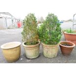 4 PLANT POTS, 2 INCLUDING PLANTS