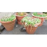 4 LARGE PLASTIC PLANTERS