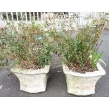 PAIR OF RECONSTITUTED STONE TROUGH PLANTERS INCLUDING PLANTS