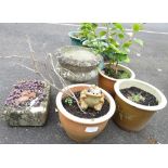 RECONSTITUTED STONE URN PLANTER, 3 GLAZED PLANT POTS & RECTANGULAR PLANTER