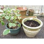 VARIOUS TERRACOTTA & GLAZED PLANT POTS INCLUDING A TERRACOTTA TROUGH