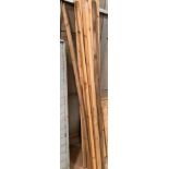 An assortment of lengths of wood. Viewing/collecti