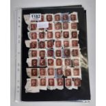 Postage stamps - Victoria 1d reds, used on paper a