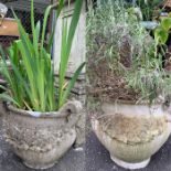 2 concrete urn style planters