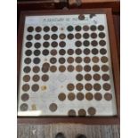Display of pennies dating from 1860 to mid 1900's