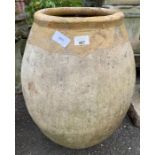 Large olive pot