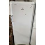 Tall Indesit fridge