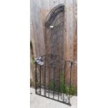 Black painted metal garden gate together with a bl