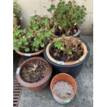 Glazed striped pot together with 2 other glazed pot