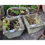 Pair of concrete square planters together with a r
