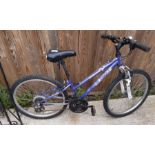 Apollo XC24 girls sprung forks bicycle