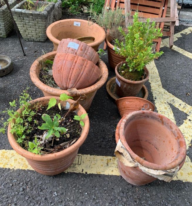 Assorted terracotta garden planters in varying siz