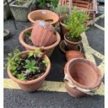 Assorted terracotta garden planters in varying siz