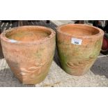 2 terracotta pots