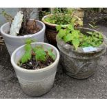 Glazed pot together with a reconstituted pot with