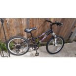 Apollo Chaos 20" childs sprung forks bicycle