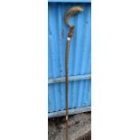 Horn handled walking stick