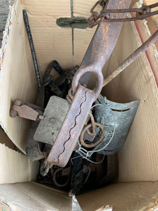 Two boxes of vintage mole traps - Image 2 of 2