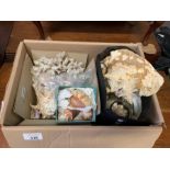 Box of various sized shells