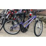 Apollo XC24 girls bicycle with sprung forks