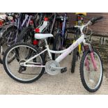 24" Elswick Wilderness girls bicycle with sprung f