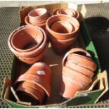 Quantity of terracotta pots