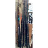 Collection of fishing rods