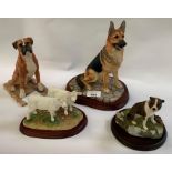 Border Fine Arts Boxer dog, Alsatian, 2 calves & 1