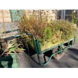 Metal framed barrow planter including plants