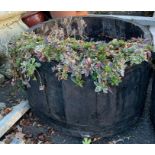 Pair of oak barrel planters