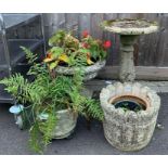 Reconstituted stone bird bath, urn & various plant