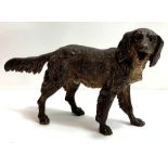 A cold painted bronze figure of a standing setter