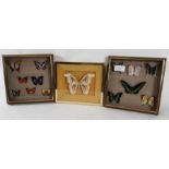 Three framed displays of butterflies and moths, tw
