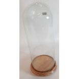 A glass dome with wooden base, total height 56cms