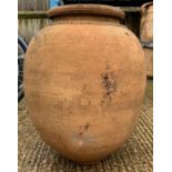 Large terracotta olive pot