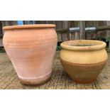 Terracotta olive pot + 1 other terracotta plant