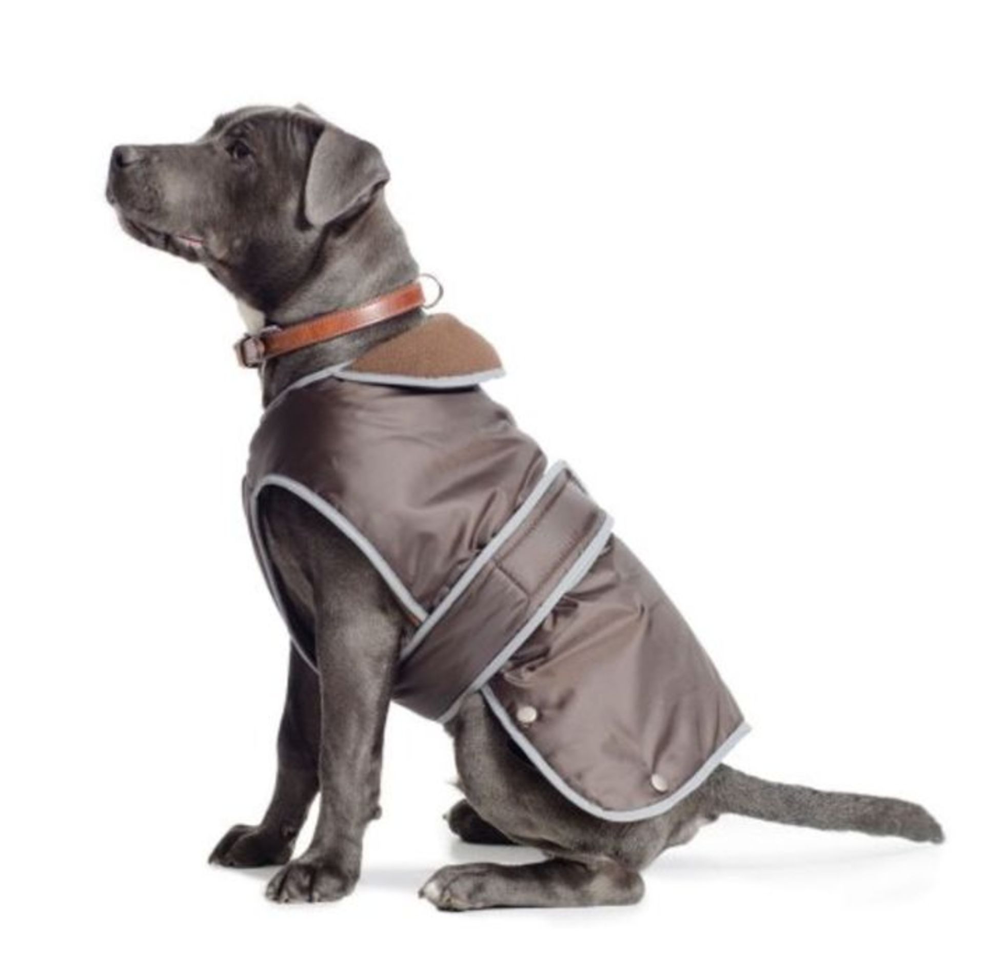 Ancol Muddy Paws Stormguard Coat Chocolate XXL Extra Extra Large ( Length 70cm/ to fit