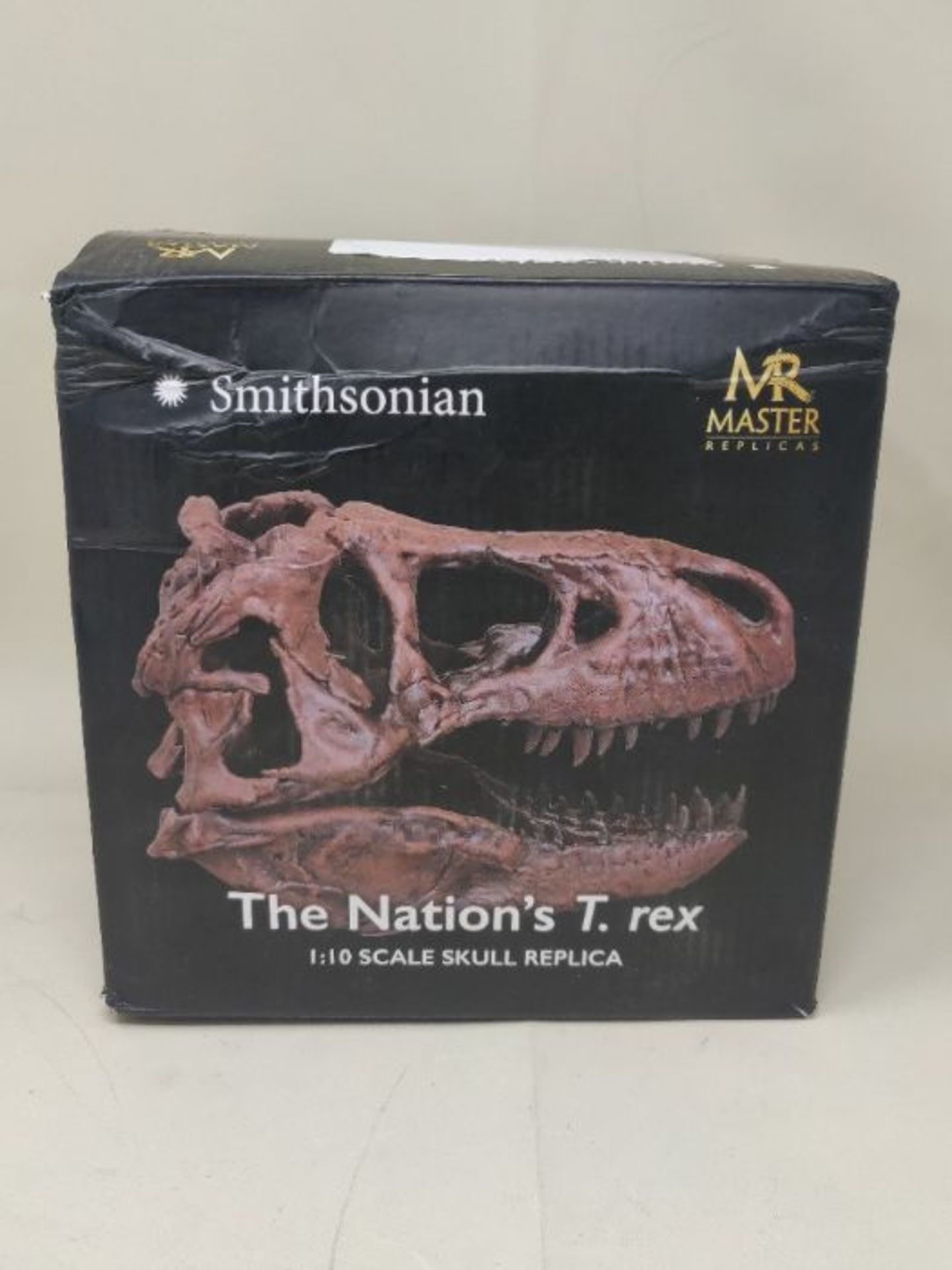 RRP £63.00 [CRACKED] The Nation's T-Rex Skull Statue | 6-Inch Smithsonian Fossil Replica| 1:10 Sc - Image 2 of 3