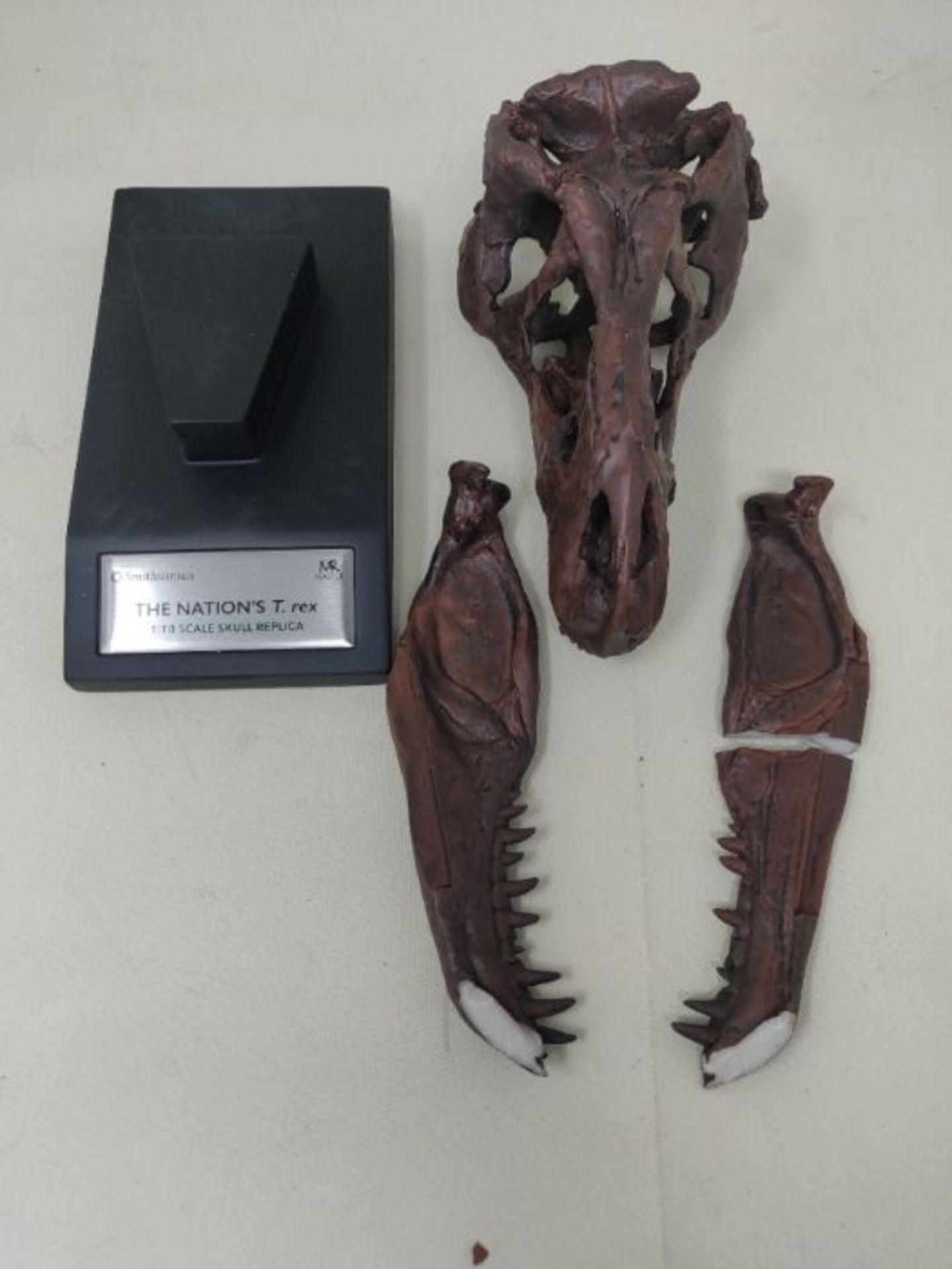 RRP £63.00 [CRACKED] The Nation's T-Rex Skull Statue | 6-Inch Smithsonian Fossil Replica| 1:10 Sc - Image 3 of 3