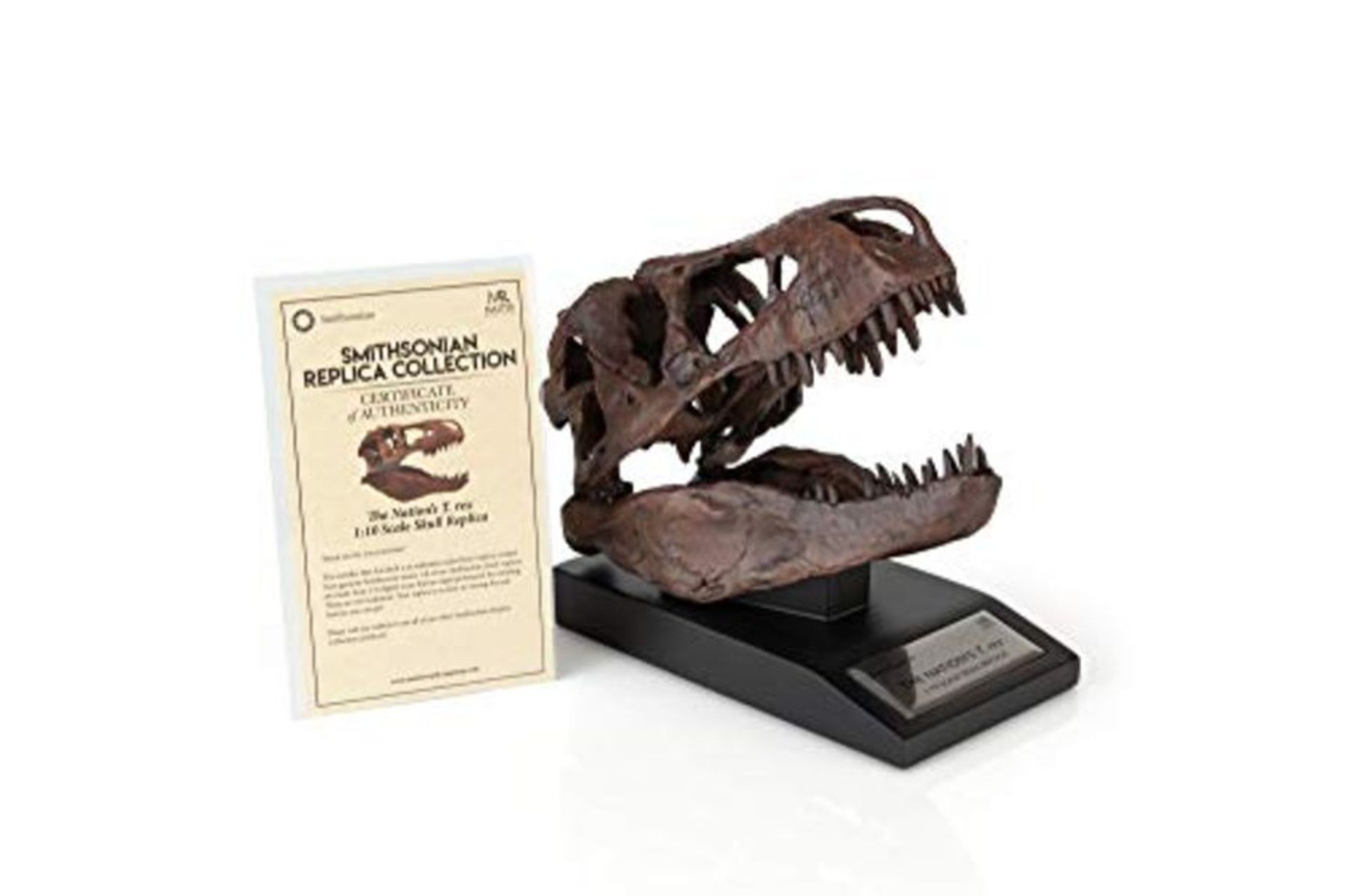 RRP £63.00 [CRACKED] The Nation's T-Rex Skull Statue | 6-Inch Smithsonian Fossil Replica| 1:10 Sc