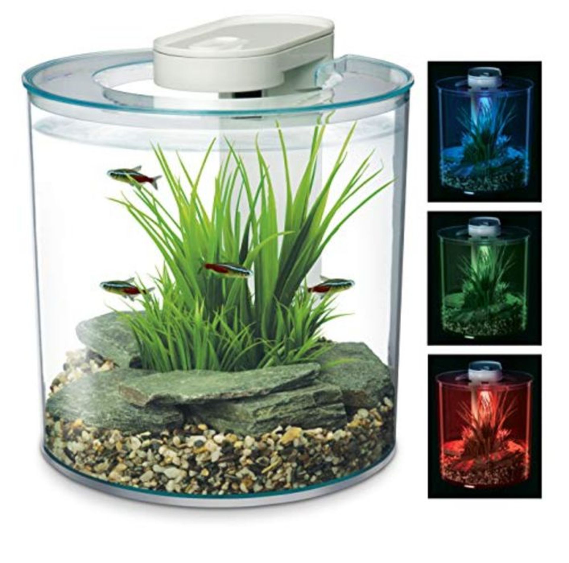 Marina 360 Aquarium with Remote Control LED Lighting, Multi-colour, 10 Litre