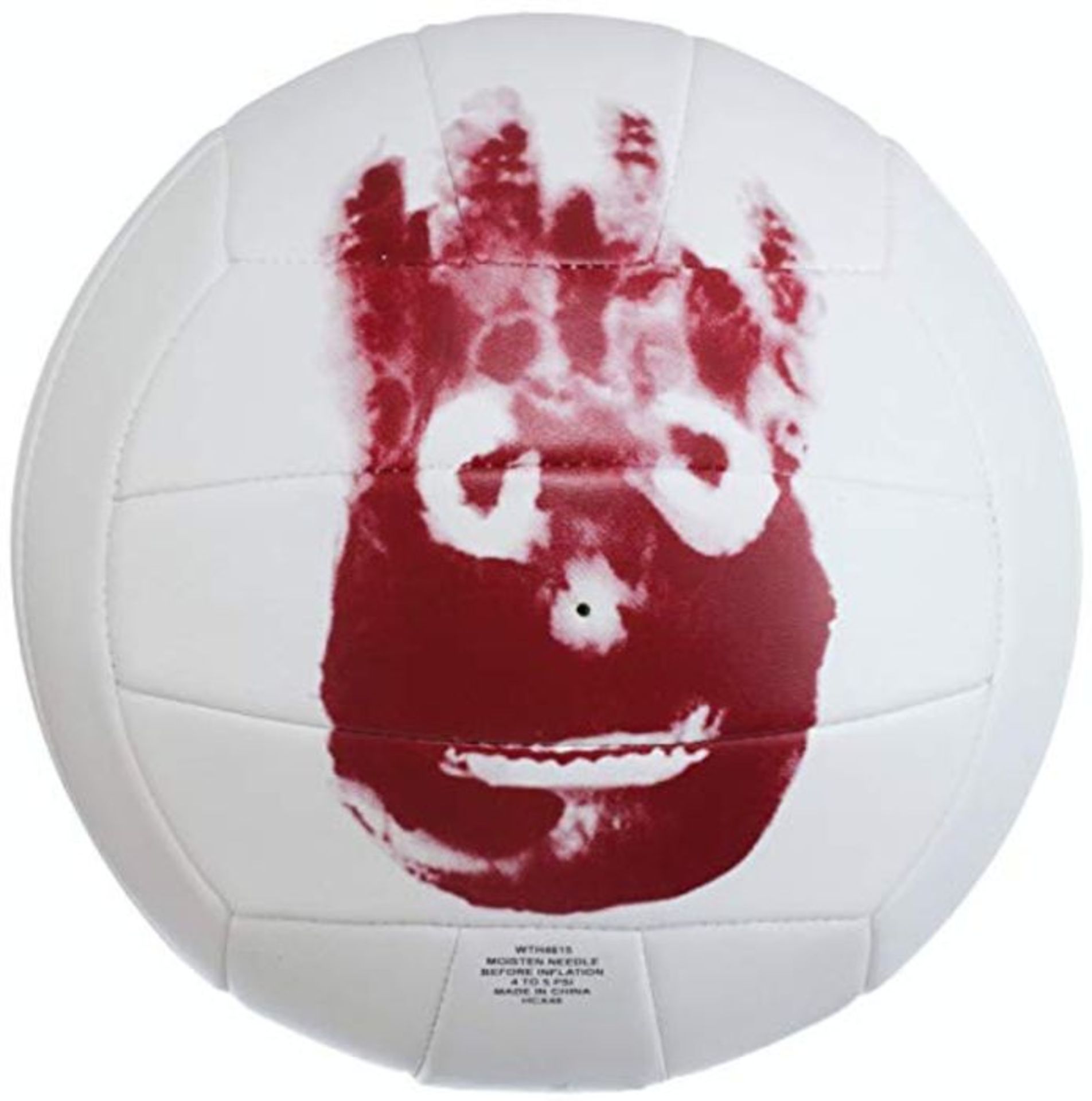 Wilson Castaway Volleyball Ball White 5