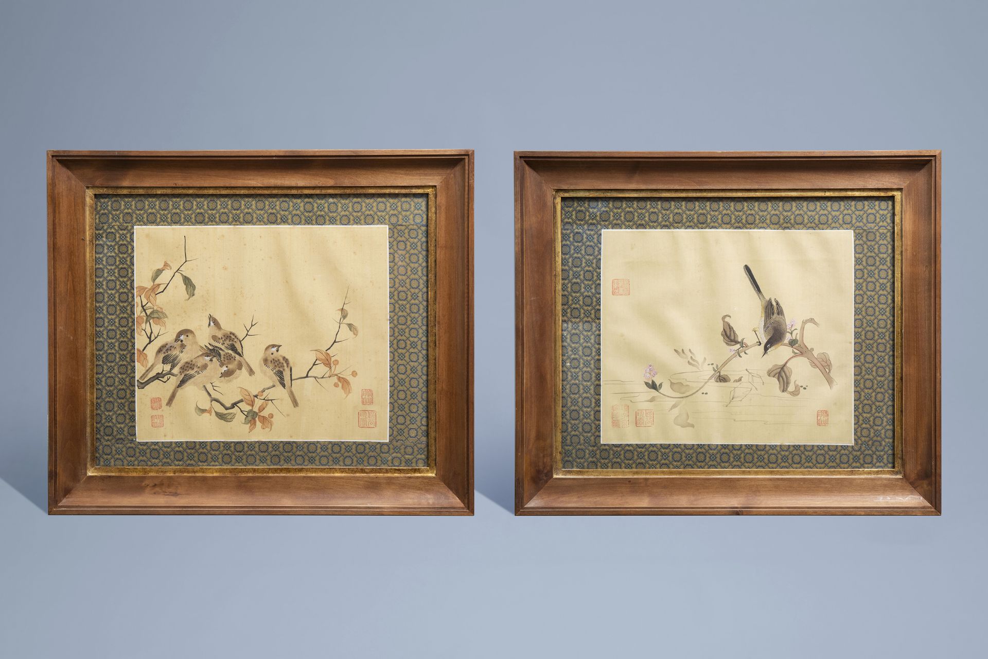 Chinese school, ink and colours on silk, 19th/20th C.: Ten paintings of birds between blossoms - Image 8 of 62