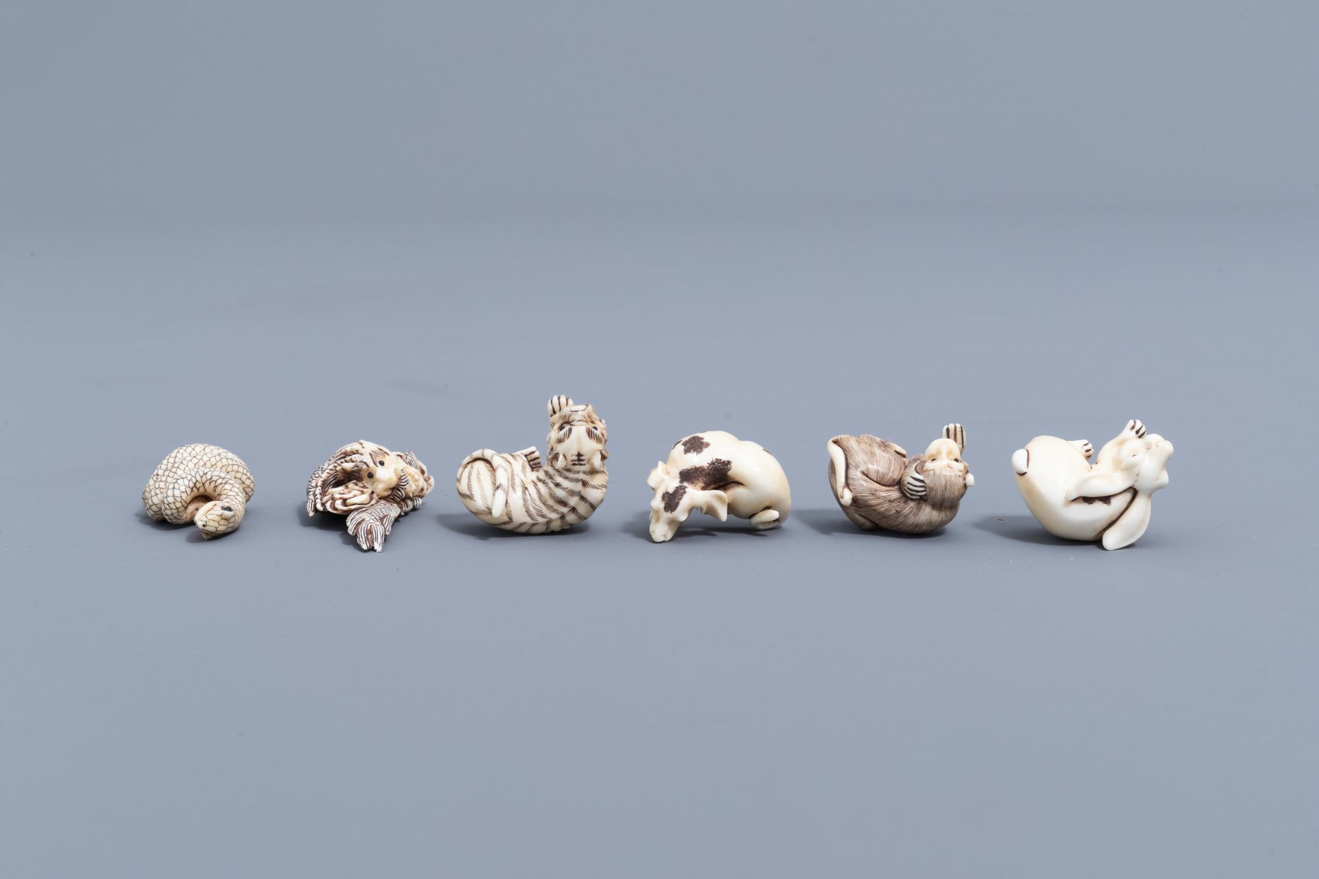 Twelve Japanese animal shaped netsuke in their display cabinet, first half of the 20th C. - Image 7 of 27