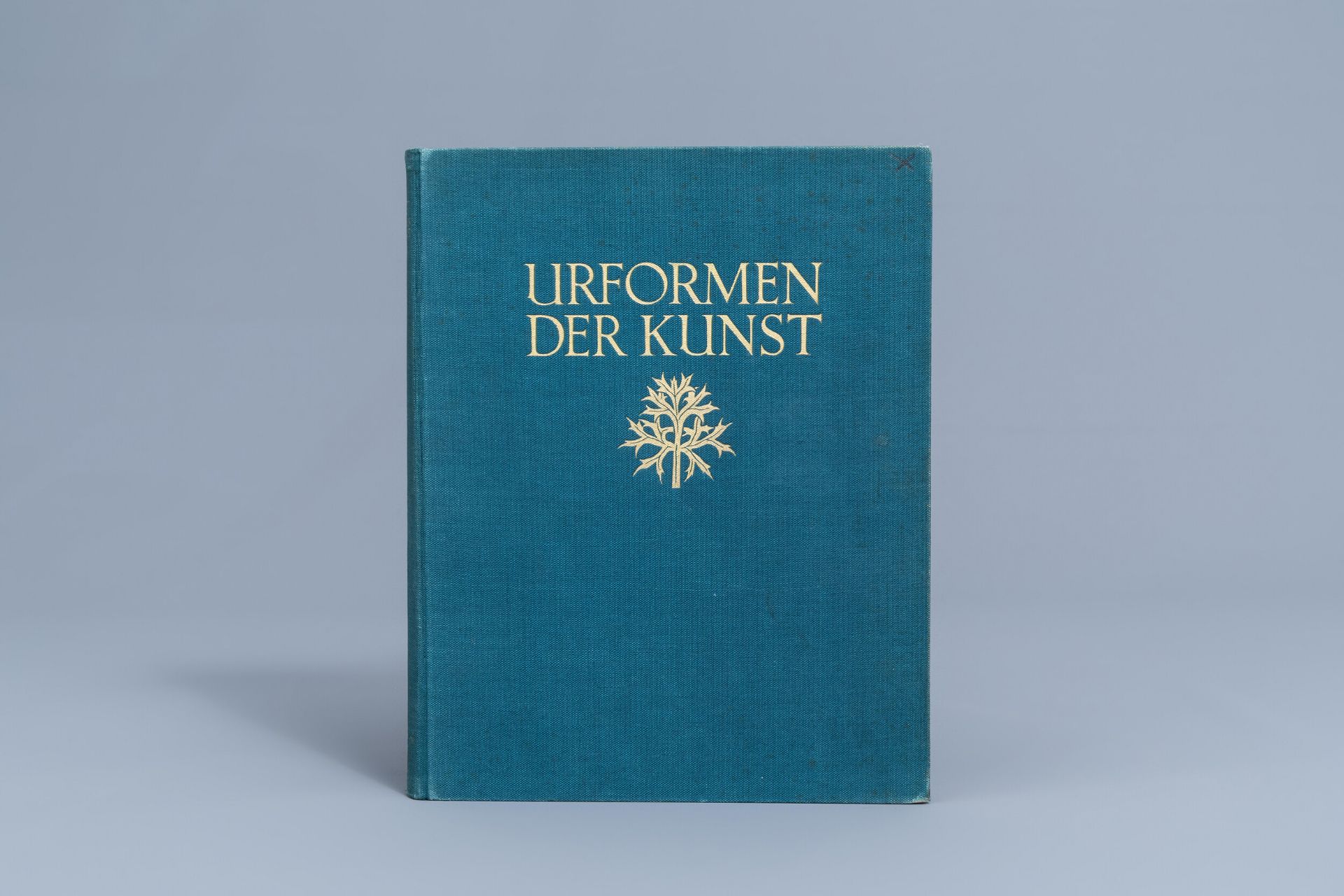 Karl Blossfeldt: 'Urformen der Kunst. Photographische Pflanzenbilder', Berlin, [1928]