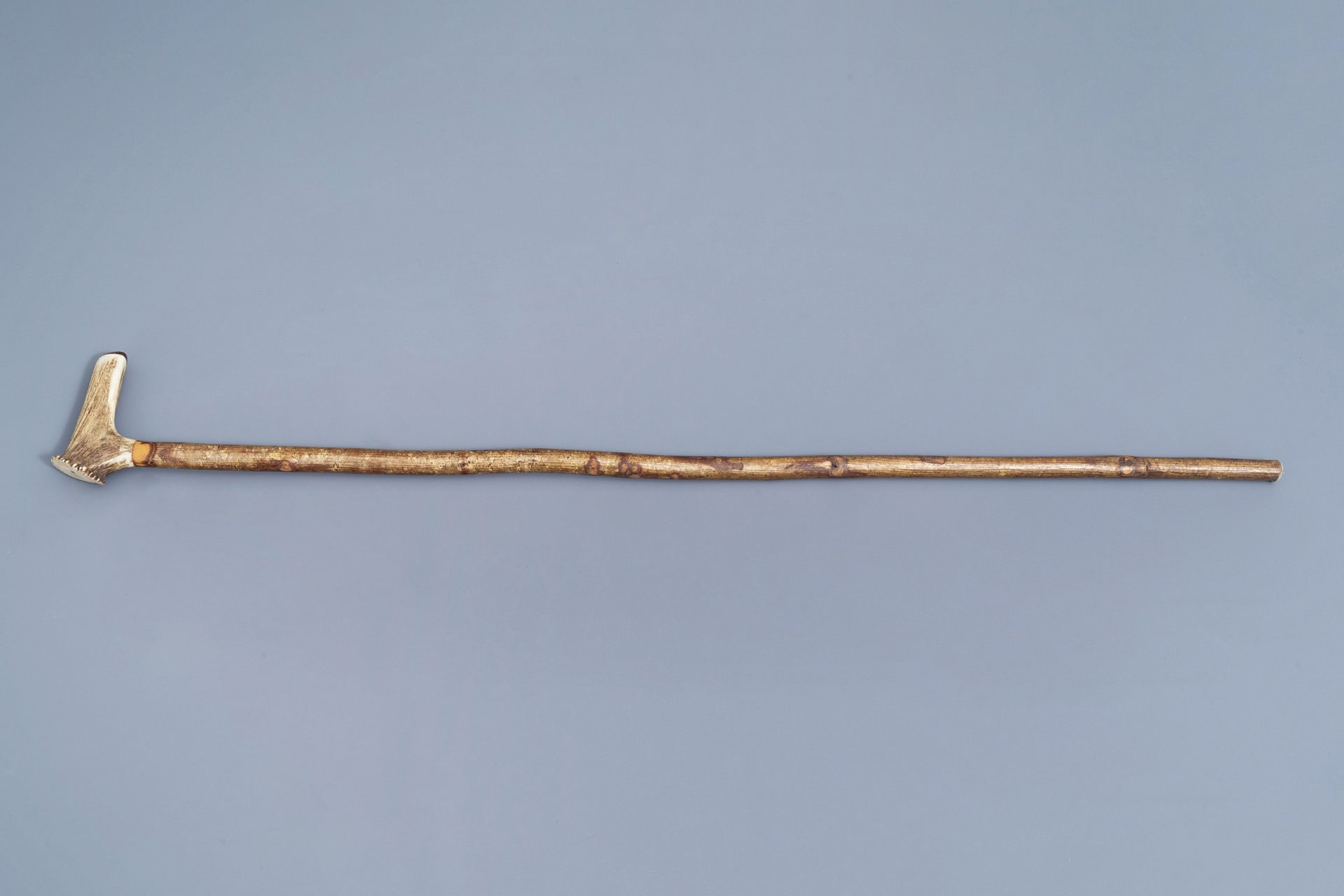 A varied collection of seven walking sticks with accompanying stand, 20th C. - Image 8 of 21