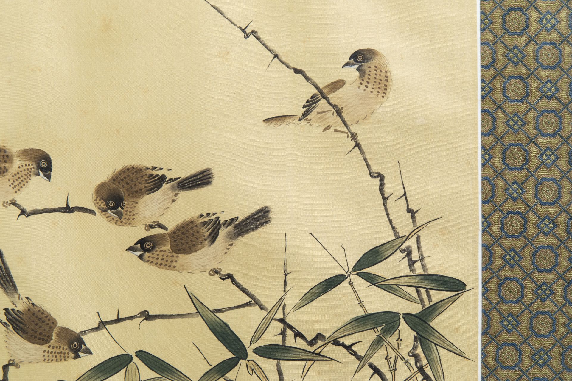 Chinese school, ink and colours on silk, 19th/20th C.: Ten paintings of birds between blossoms - Image 59 of 62